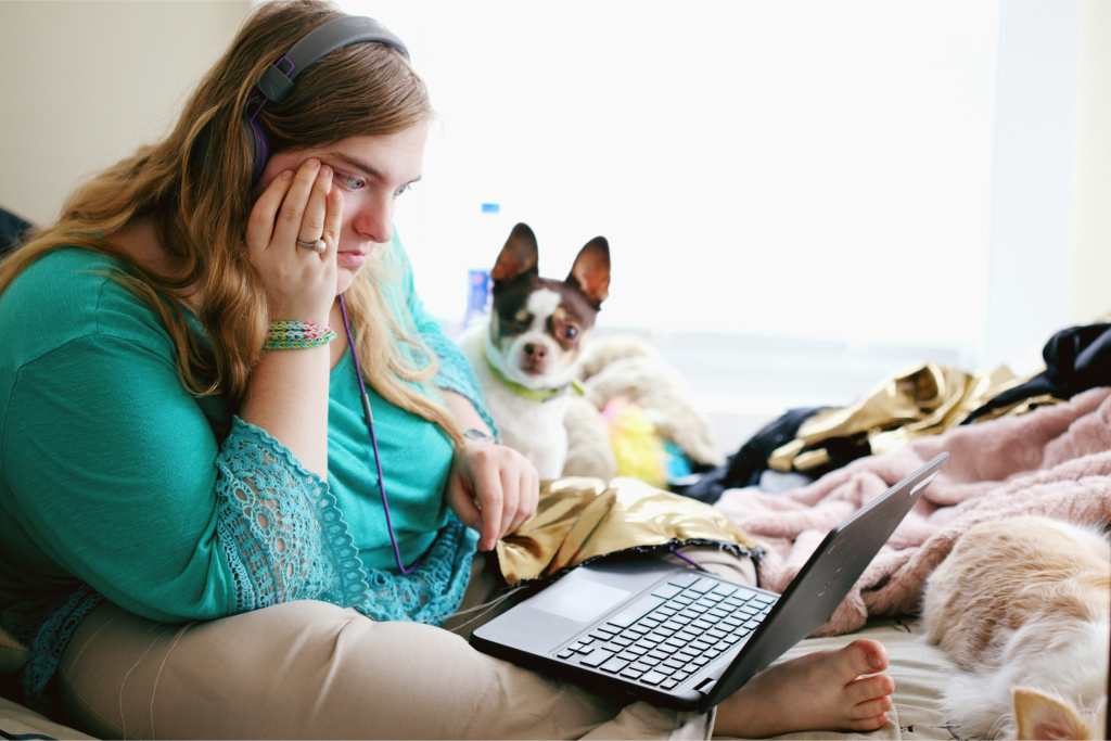 A person on a bed with a dog looking at a laptop